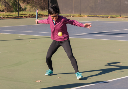 Pickleball Encino